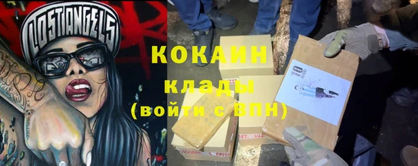 индика Алексеевка