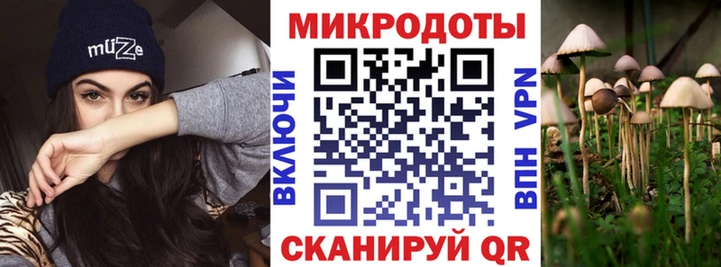 наркотики  Владимир  Псилоцибиновые грибы Psilocybine cubensis 