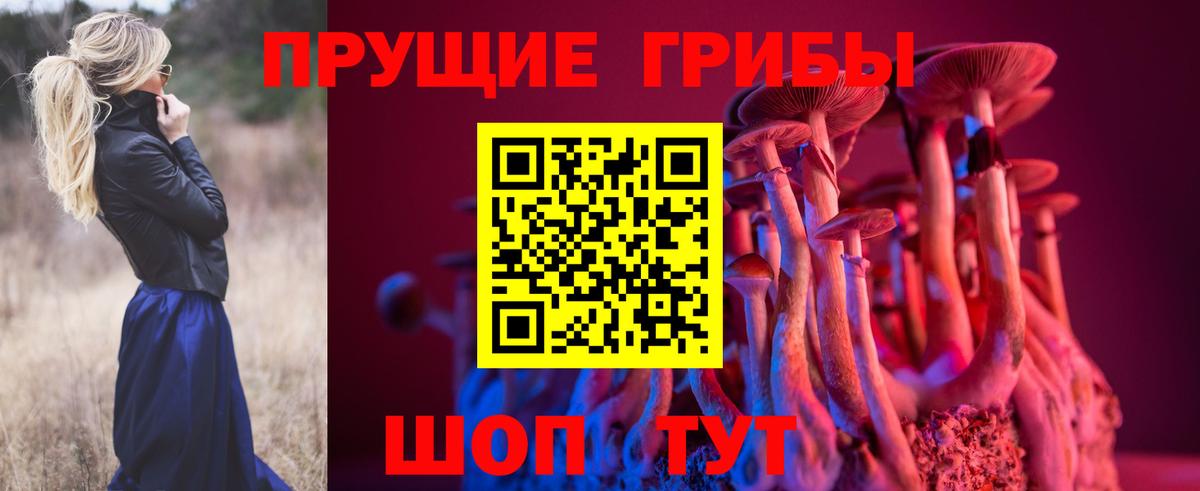 Владимир  Галлюциногенные грибы GOLDEN TEACHER  Вход с VPN 